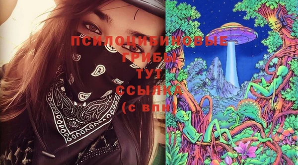 спайс Алзамай